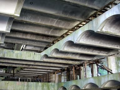 St. Peter’s Seminary