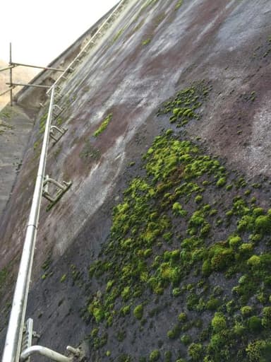 Pilgrimage Church (Wallfahrtsdom)