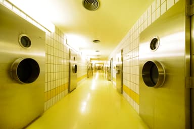 Central Animal Labs "Mouse Bunker", Freie Universität Berlin (Zentrale Tierlaboratorien "Mäusebunker")