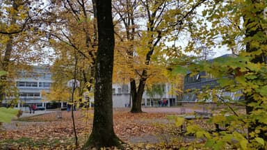 Katharinen High School