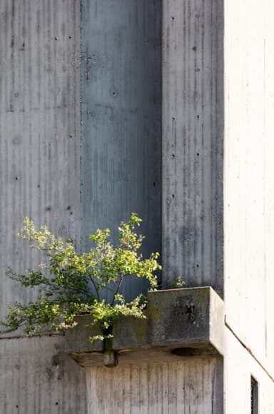 St. Elisabeth (today: Apartment Building "Church-Chill")