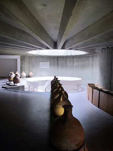 Musée de la Civilisation Gallo-Romaine