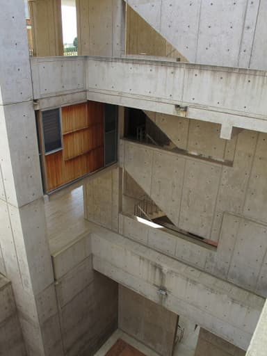 Salk Institute