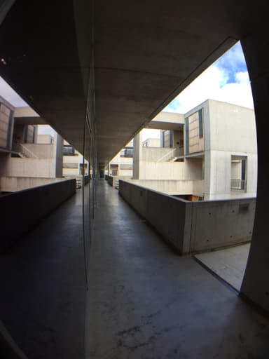 Salk Institute
