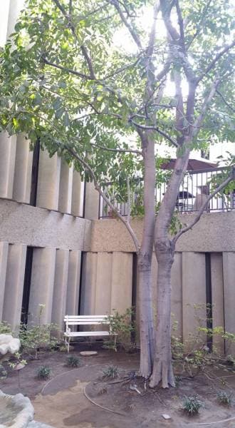 St. Basil Catholic Church