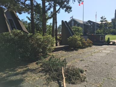 Killam Library, Dalhousie University