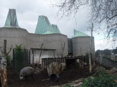 Casson Pavilion, London Zoo