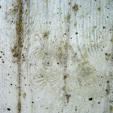 Musée de la Préhistoire d'Ile de France