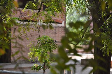 Indian Institue of Management (IIM)