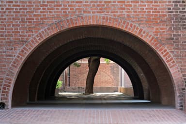 Indian Institue of Management (IIM)