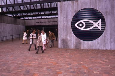 New England Aquarium