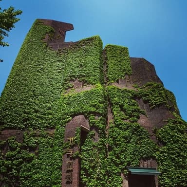 Kyungdong Presbyterian Church
