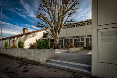 St. Mark's Church (Markuskirche)