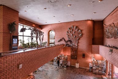 Orlov Museum of Paleontology