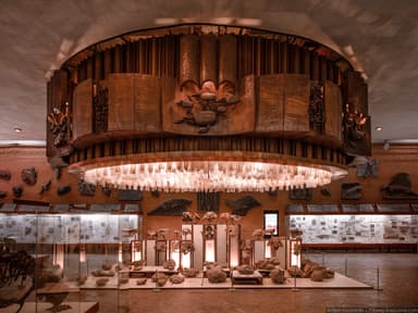 Orlov Museum of Paleontology