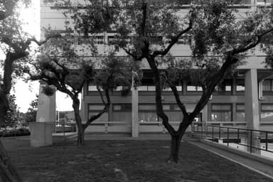 Town Hall (Municipio)