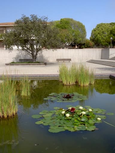 Storke Tower and Communications Plaza