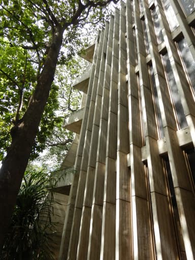 Museo de Bellas Artes (Extension)