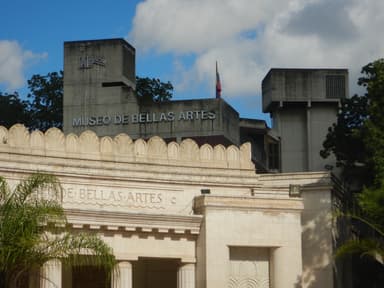Museo de Bellas Artes (Extension)