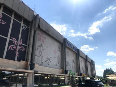 Former Sports Hall “Festivalna” (today: ASICS Arena)