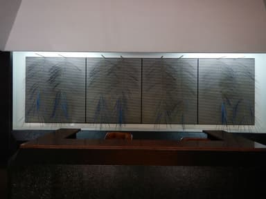 Museo de Arte Contemporáneo de Caracas