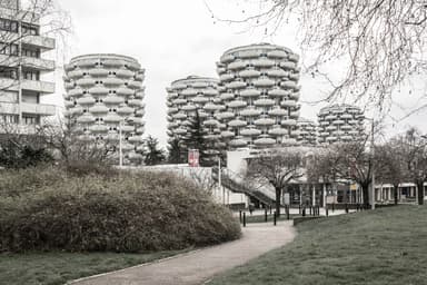 Les Choux de Crétail