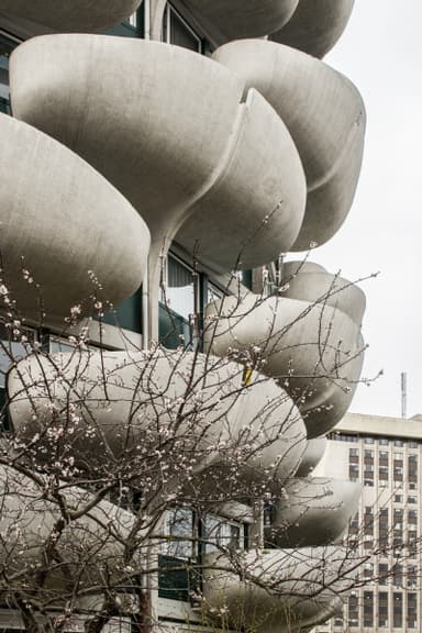 Les Choux de Crétail