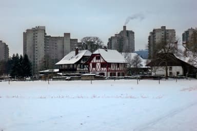 Residential Building Wittigkofen