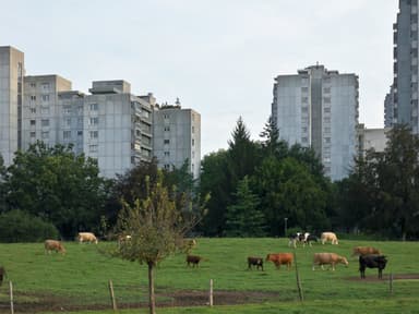 Residential Building Wittigkofen