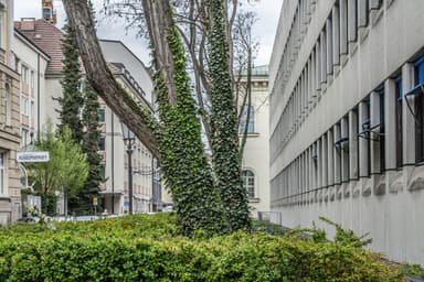 Bavarian State Archives