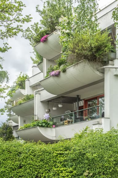 Terrace House Settlement