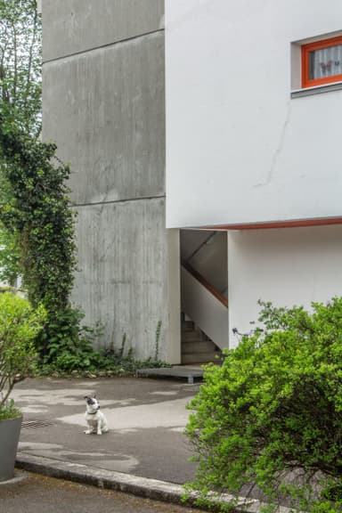 Terrace House Settlement