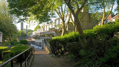 Central Hill Estate